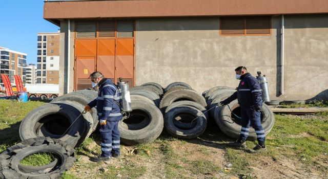 Efeler'de sineklerle mücadele 12 ay boyunca devam ediyor
