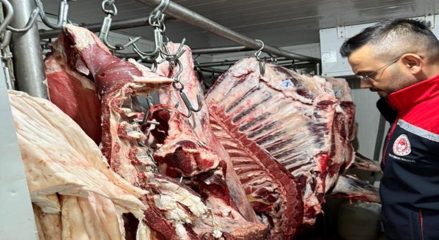 Koçarlı'daki kasaplar denetlendi