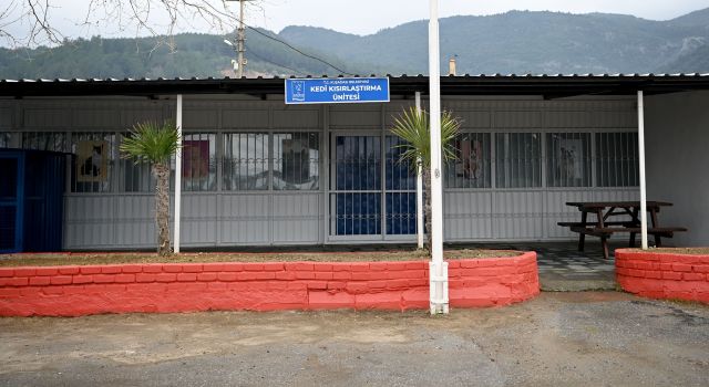 Kuşadası'nda Davutlar Kedi Kısırlaştırma Ünitesi için geri sayım başladı