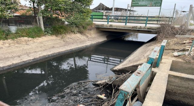 Aydın'da atık sular tarımı ve çevreyi tehdit ediyor