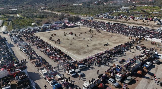 Bozdoğan’da Polise Saldıran Şahıs Gözaltına Alındı