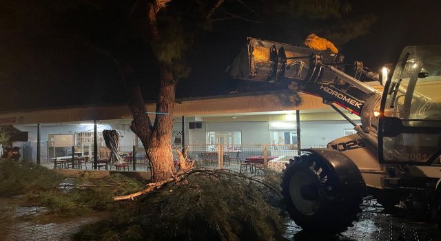 Aydın Büyükşehir Belediyesi'nden şiddetli yağış ve fırtınaya karşı hızlı müdahale