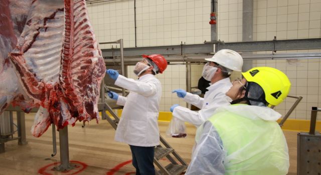 Aydın’da kurban kesim ücretleri belli oldu