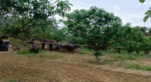 Devrilen traktörün altında kalan adam hayatını kaybetti