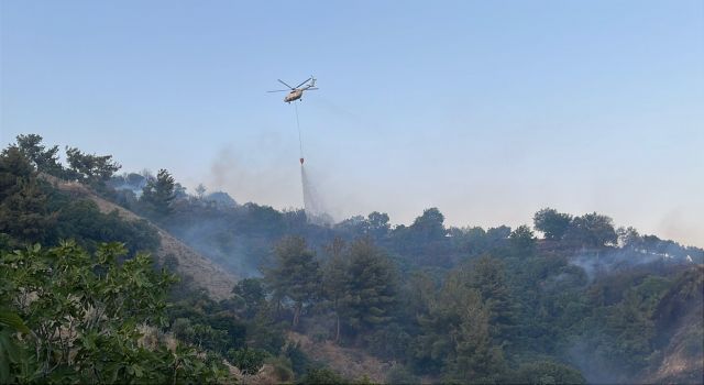 Horozköy yangını kontrol altına alındı