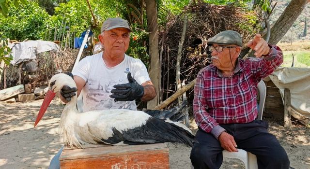 Kamyon çarpan leylek tedavi altına alındı, Başkan Sürücü 'dikkat' çağrısı yaptı