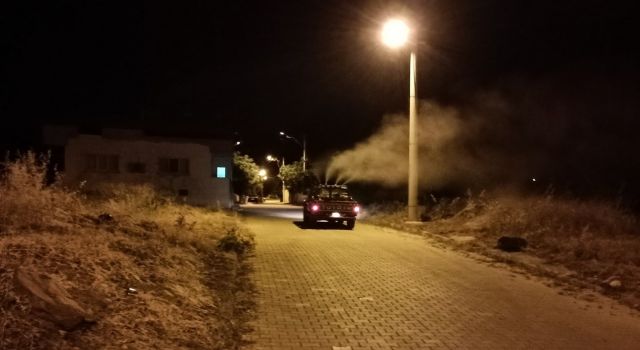 Karacasu'nun 'sinek timi' işbaşında