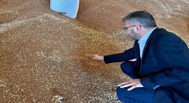 Milletvekili Özmen TMO 2025 Hububat Alım Fiyatlarını Açıkladı