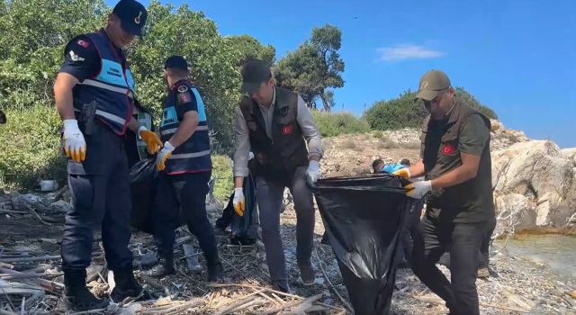 Milli Park'ta ziyarete kapalı koylar temizlendi