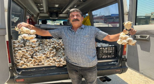 Minibüsüyle üç il gezip, ailesine bakıyor