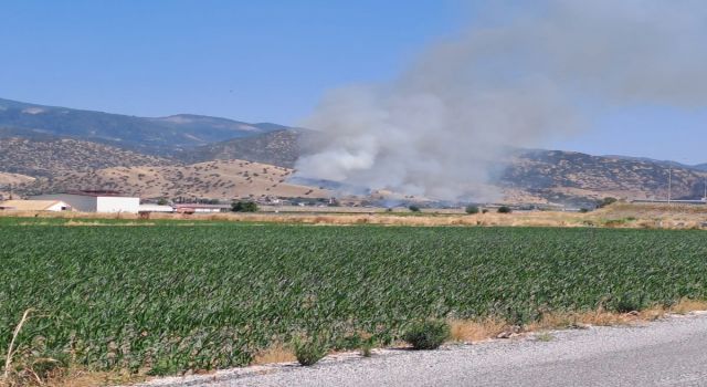 Nazilli'de zirai alan yangını