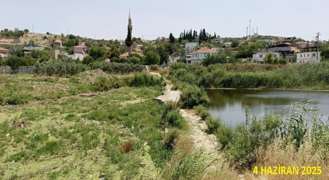 Tarihi köprüde sular yeşillendi, doğaseverler sorunlara dikkat çekti