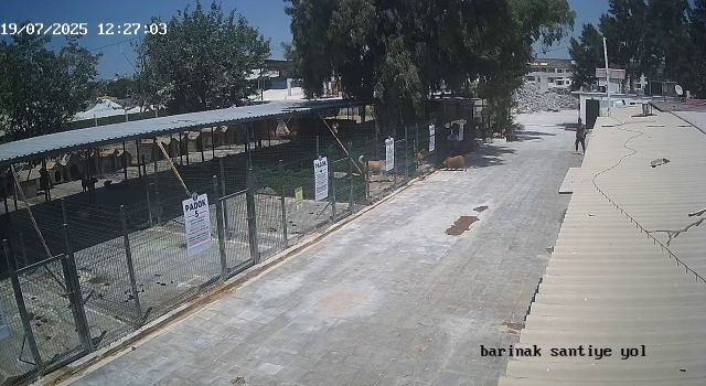 Didim Belediyesi'nden "Tarçın" açıklaması: "Benzer olayın tekrar yaşanmaması için gerekli tüm tedbirleri kararlılıkla hayata geçireceğiz"