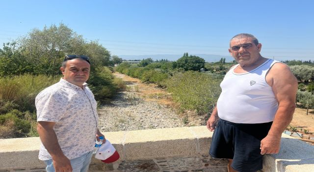 İkizdere Barajı'ndan su bırakılmadı, ağaçlar kurudu