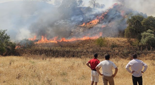 Nazilli'de zirai alanda çıkan yangın kontrol altına alındı