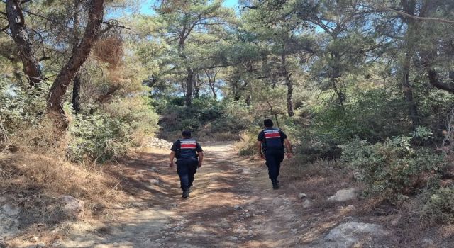 Ormanlar hem karadan hem havadan korunuyor