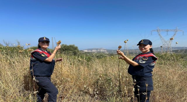 Tülüşah' bitikisine zarar veren 557 bin lira ceza ödeyecek