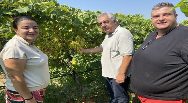 40 yaşından sonra okuyup kalıntısız üzüm yetiştirdi