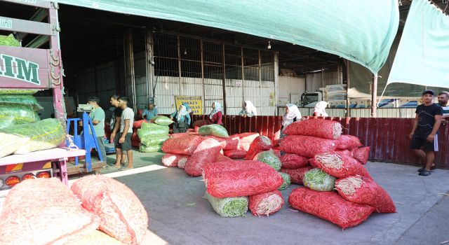 Acarlar'da eli ayağı tutan herkes çalışıyor