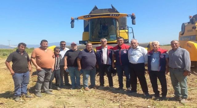 Aydın'da ayçiçeği hasadı başladı