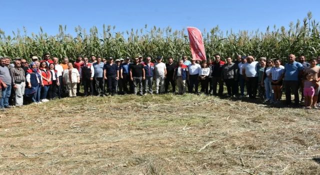 Aydın’da kaba yem açığını kapatacak proje meyvelerini veriyor