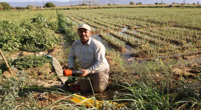 Aydın'da su kıtlığı çiftçilerin mesai saatlerini değiştirdi