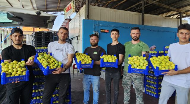 Buharkent'in damak çatlatan lezzeti taze incir, sofralarda yerini aldı