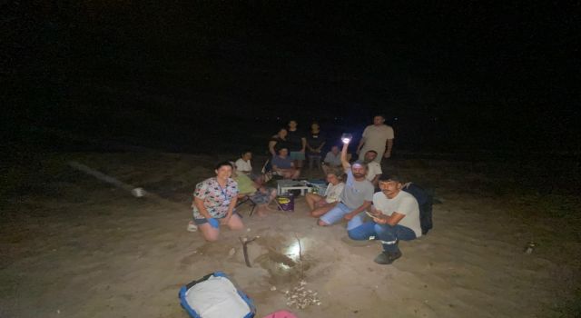 Didim’de 47 yavru caretta caretta denize ulaştı