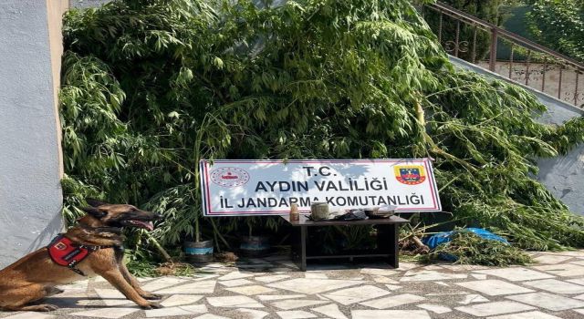 Evinin bahçesine saklamak istedi, narkotik köpeğine takıldı