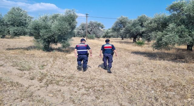 Jandarmadan orman devriyesi