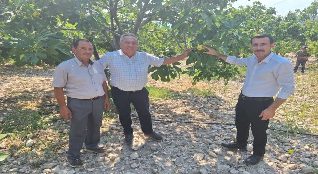 Kaymakam Polat, incir üreticileriyle bir araya geldi