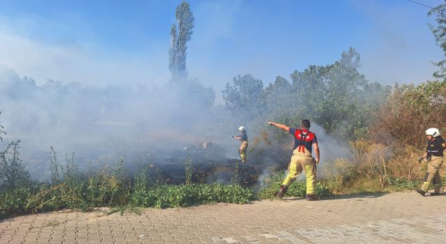 Sazlık alanda yangın paniği