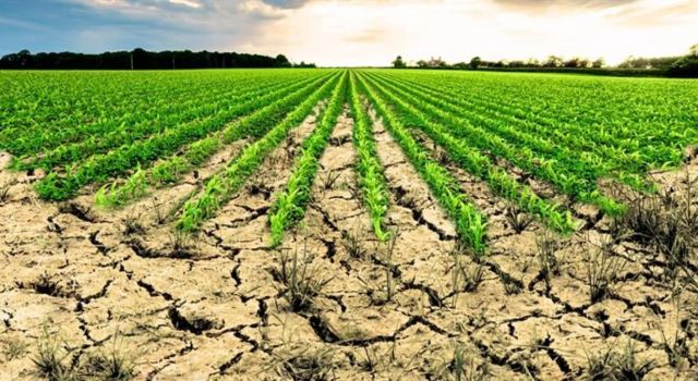 Aydın’da işlenmeyen tarım arazilerinin listesi ilan edildi