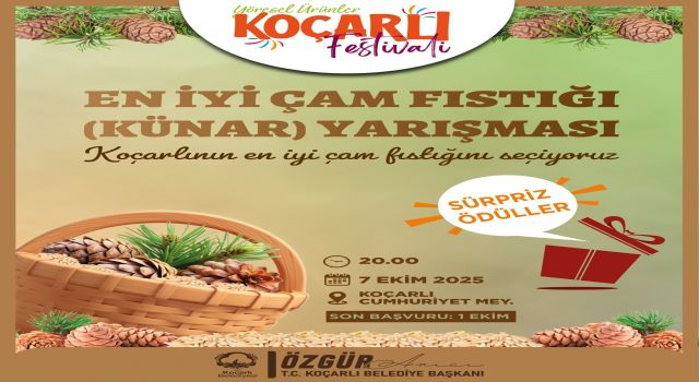 Koçarlı’da çam fıstığının en iyisi seçilecek