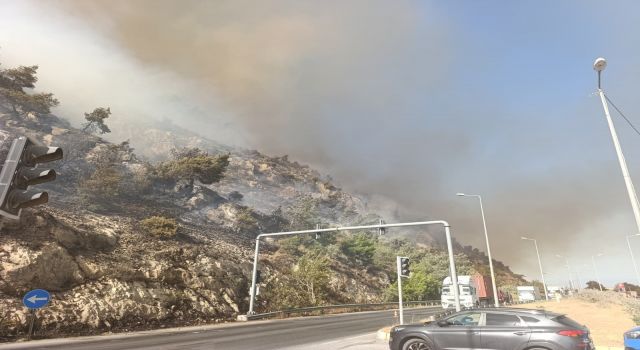 Söke'de makilik alan yangını, söndürme çalışmaları sürüyor