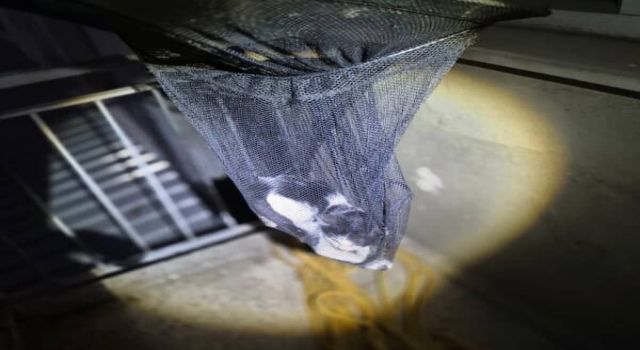 Apartman boşluğunda mahsur kalan yavru kedi kurtarıldı