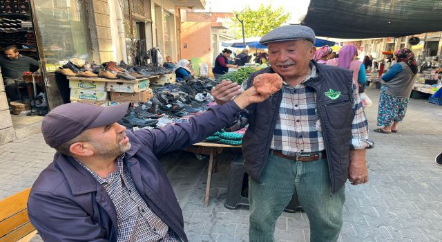 Aydın'da çıntar çıktı, kilosu 500 TL