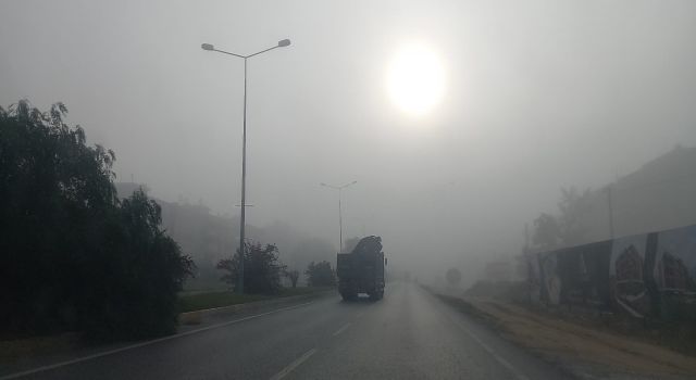 Aydın'da yoğun sis sürücülere zor anlar yaşattı