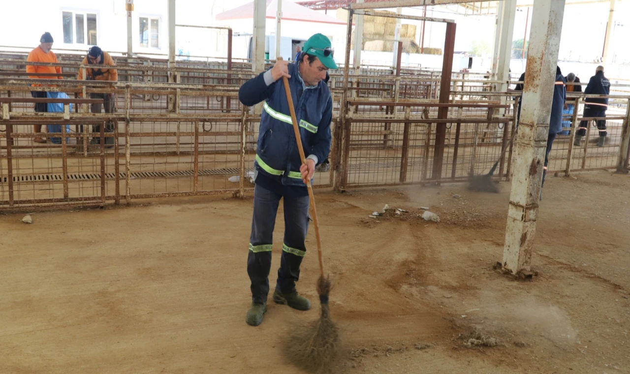 Hayvan Pazarı 7 Ay Sonra Yeniden Hizmete Açılıyor