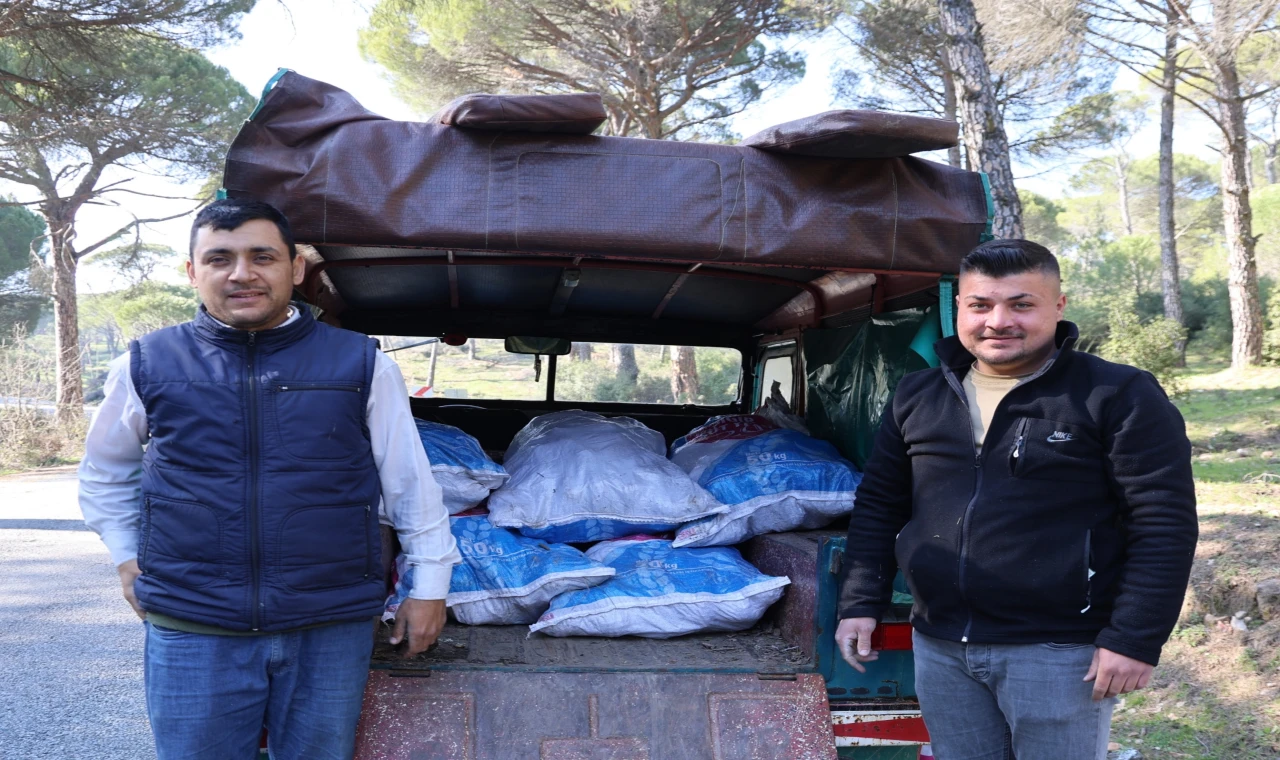 Eski yeşil cipler Aydın dağlarının vazgeçilmezi oldu