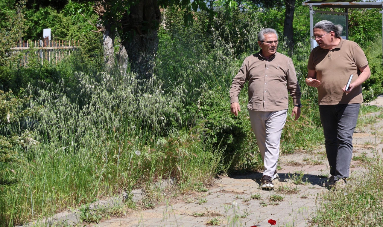 Nazilli’de planlı belediyecilikle yollar artık delik deşik olmayacak