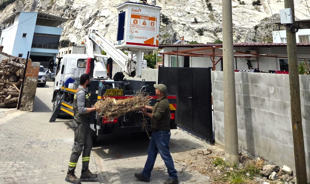 Sazlı’da Leylekler İçin Seferberlik: Yeni Yuvalarına Kavuştular