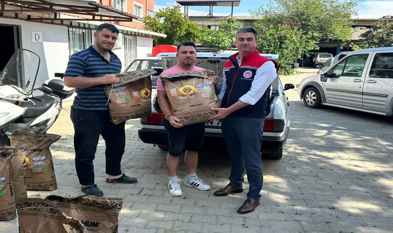 Çiftçiye yüzde 75 hibeli ayçiçeği tohumu desteği