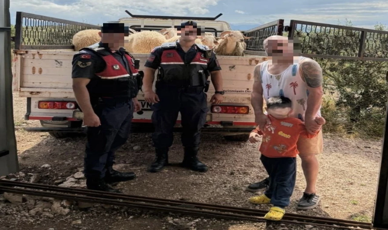 Kurban Bayramı öncesi çalınan koyunları jandarma buldu