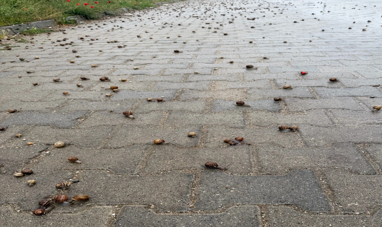 Nazilli’de yağmur sonrası ilginç manzara!