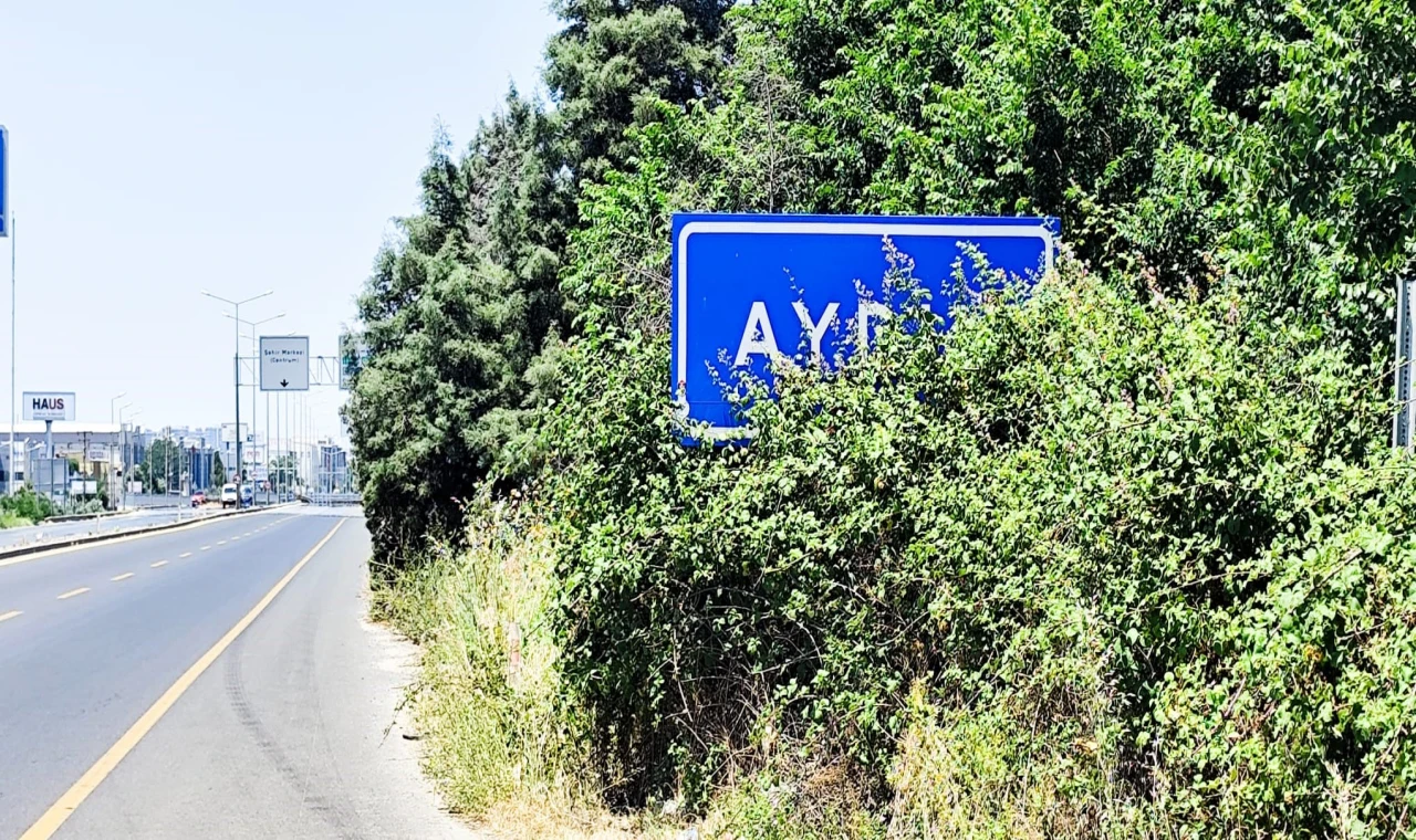 Karayolu üzerindeki Aydın tabelası çalılar arasında kaldı