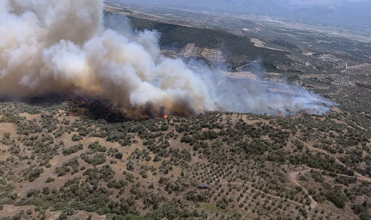 Bozdoğan'da ziraat alanında yangın çıktı
