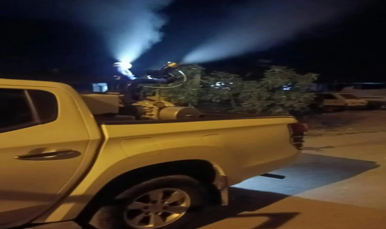 Germencik'te gece ilaçlaması sürüyor