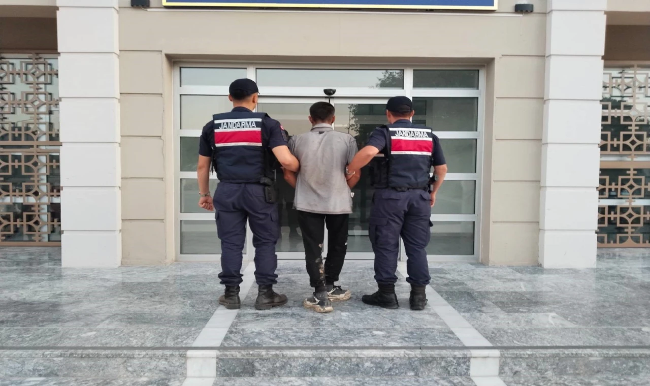 Germencik’te incir hırsızlığına suçüstü