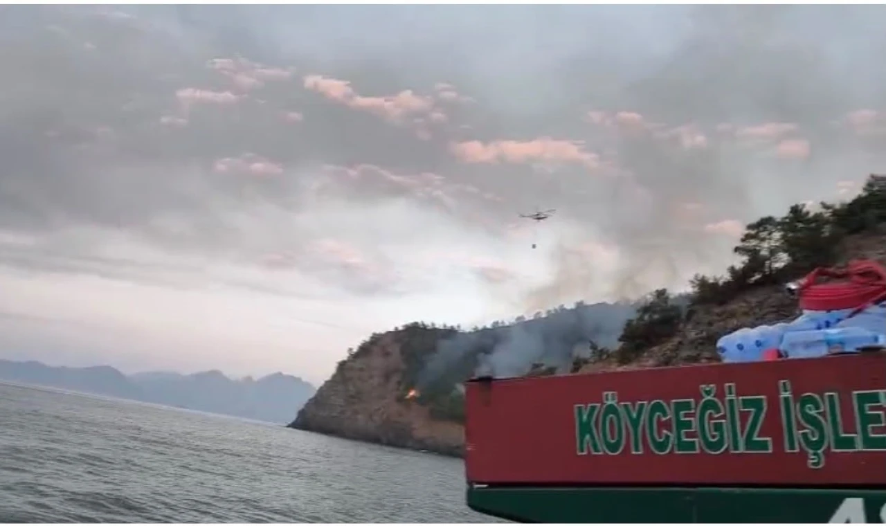Marmaris'teki yangının enerjisi düşürüldü, ekiplerin mücadelesi sürüyor